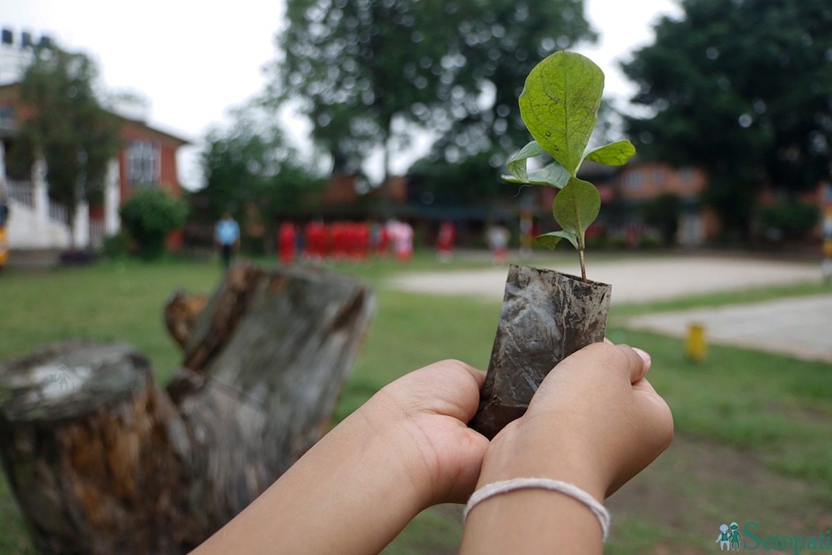 फाइल तस्बिर